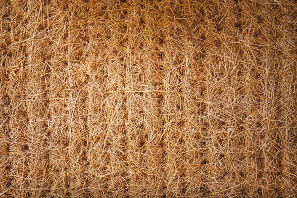 Getrocknetes Stroh Stroh Aus Gras Für Wand Dach Hütte Natur — Stockfoto