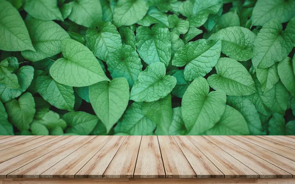 Houten plaat voor montage producten display te koop te promoten met mooie groene achtergrond — Stockfoto