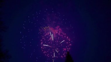 gece gökyüzünde güzel havai fişek gösterisi