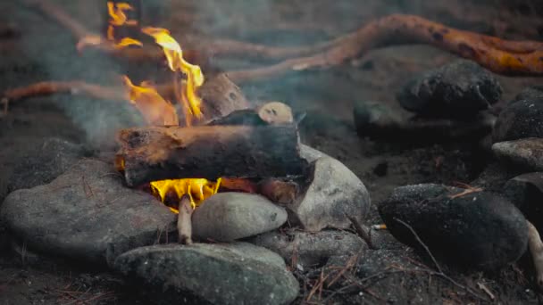 Nahaufnahme Einer Feuerflamme Holzverbrennung Video Das Feuer Entfacht Sich Die — Stockvideo