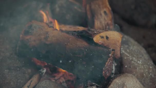Primer Plano Una Llama Fuego Quemando Madera Video Fuego Está — Vídeos de Stock
