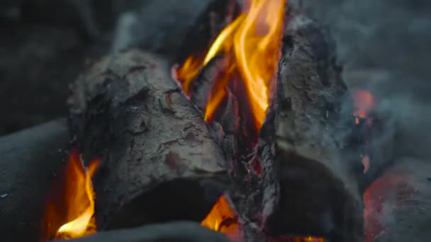 炎のクローズアップ 4Kビデオで木材を燃やす 火はあおれ 灰は飛ぶ 石の上にくすぶる丸太 — ストック動画