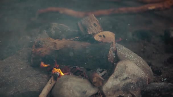 火的特写镜头 在4K视频中燃烧木材 火在燃烧 灰烬在燃烧 石头上的木头闷烧 — 图库视频影像