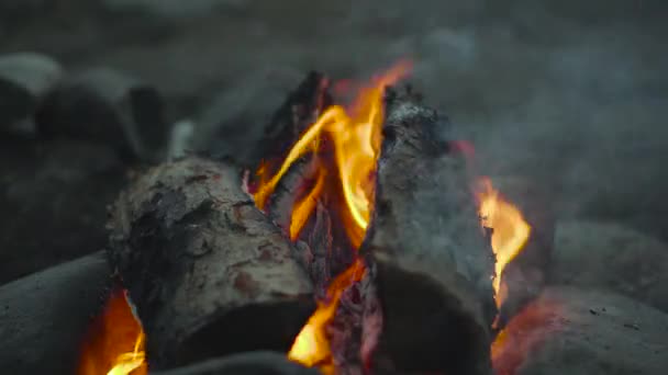 Zblízka Plamen Ohně Pálí Dřevo Videu Oheň Ovíjí Popel Poletí — Stock video