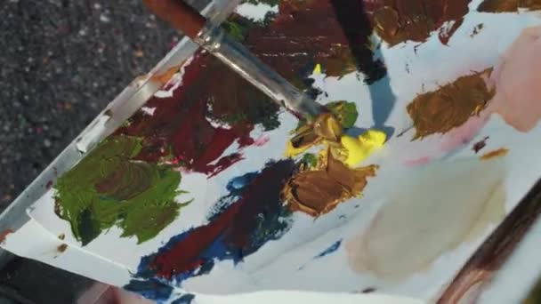 Βάζοντας πινέλο μπογιάς σε χρωματιστές λαδομπογιές. Το χέρι των καλλιτεχνών αναμιγνύει τα χρώματα σε μια παλέτα close-up. — Αρχείο Βίντεο