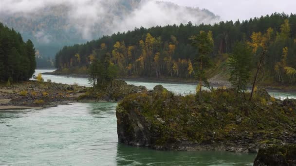 Cloudy day in the mountains in Altai. Evaporation after rain in autumn in the mountains. Pine forest on the banks of the stormy Katun River. 4K footage video. — Stock Video