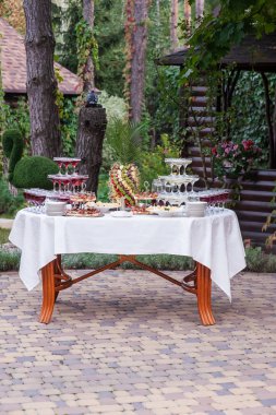 Güzel aperatif ve parlak meyve bir tablo. Tatil sırasında Konuklar için lezzetli bir eğlence