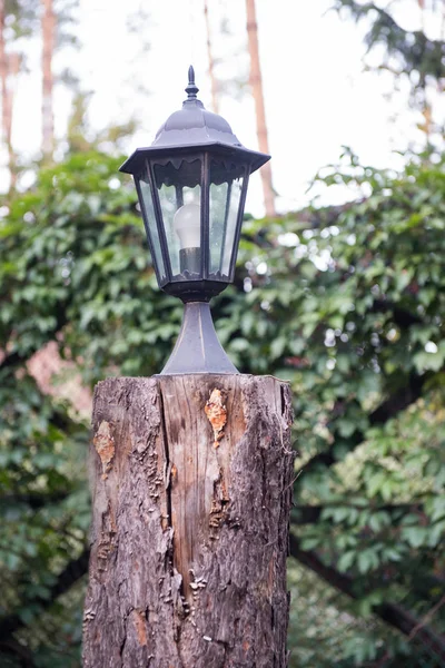 The lamp costs on a wooden felling