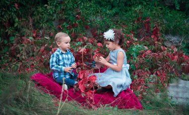 Küçük bir oğlan ve bir kız bir tabakta oturup kırmızı sonbahar yaprakları oynuyorlar..