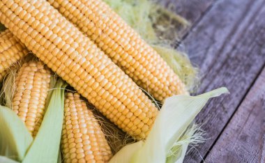 Tahta tahtalarda taze taze tatlı mısır. Salıncakta sulu tahıl. Mısır Grubu
