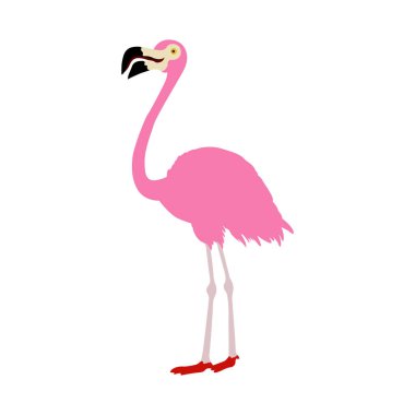 Beyaz arkaplanda izole edilmiş pembe flamingo vektör çizimi.