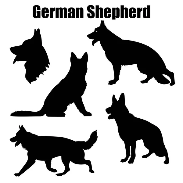 Alman çoban köpek farklı teşkil beyaz arka plan üzerinde izole vektör çizim.