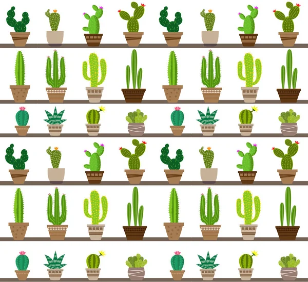 Vector Naadloze Patroon Met Verschillende Cactus Bright Herhaald Textuur Met — Stockvector