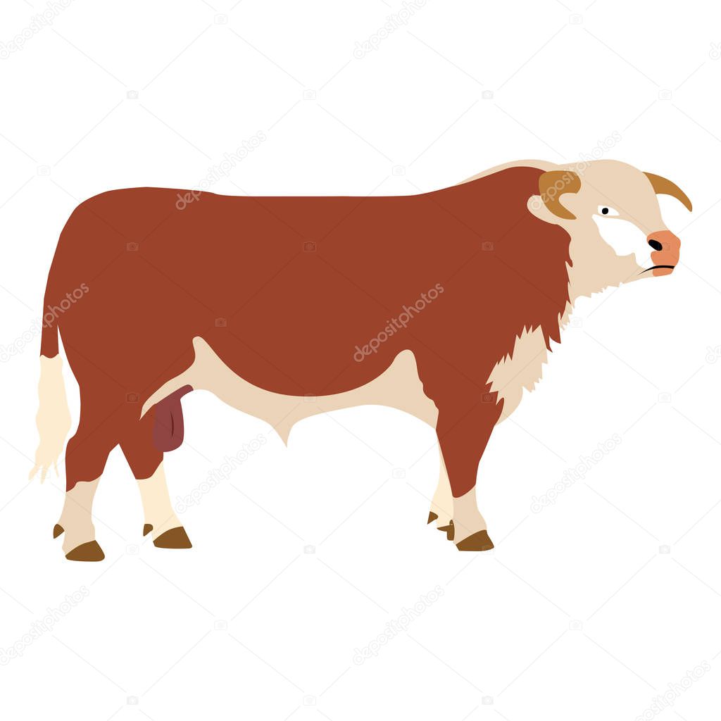 Bull, pet, animal of America, illustration, vector, brown color