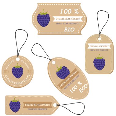Çeşitli meyveler, blackberry ve yazıtlar için etiketlerle. Mağazalar ve marketler Organik Vejetaryen Gıda için şablonlar fiyat etiketleri ayarla. Vektör çizim