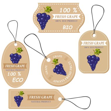 Çeşitli meyveler, üzüm ve yazıtlar için etiketlerle. Mağazalar ve marketler Organik Vejetaryen Gıda için şablonlar fiyat etiketleri ayarla. Vektör çizim