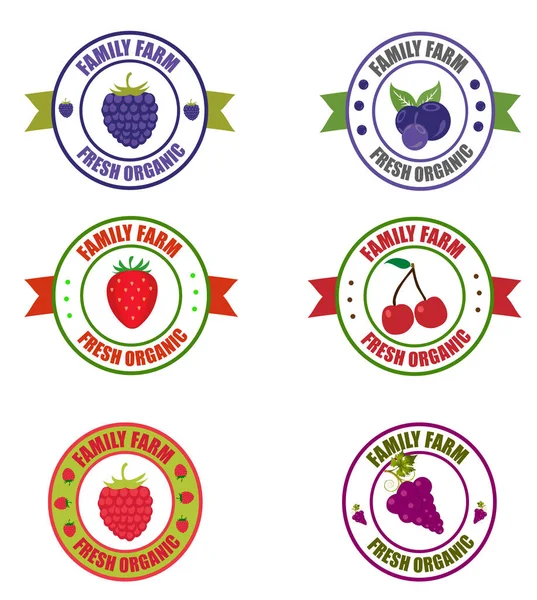 Logotipo Fruta Logos Moras Uvas Arándanos Fresas Frambuesas Cerezas Dulces — Vector de stock