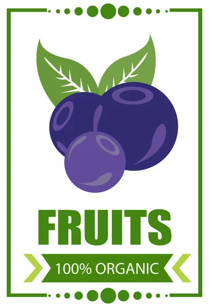 Logo Arándano Etiqueta Cuadrada Ciénaga Whortleberry Frutas Bayas Granja Comida — Vector de stock