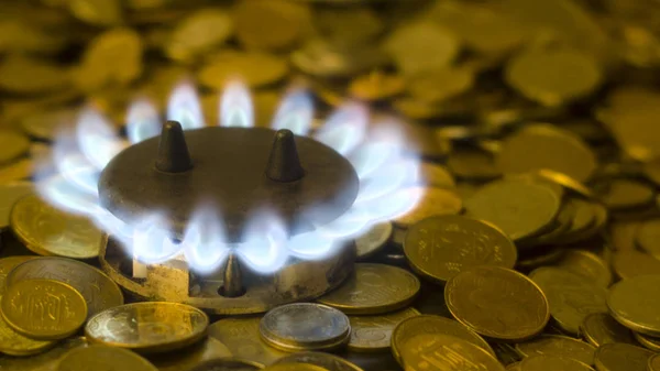 Blue flames of natural gas burning from a gas stove on a background of the coins. Energy crisis concept. High prices for natural gas
