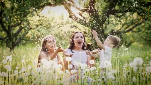 Gelukkig moeder en kinderen spelen met paardebloemen — Stockvideo