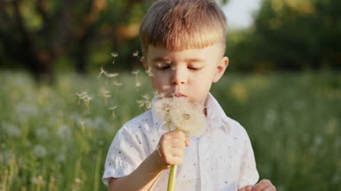 Güzel bir çocuk, parkta, üfleme dandelions yakın çekim