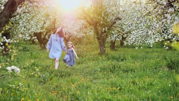 Mamá con hija caminan juntos en la naturaleza — Vídeos de Stock