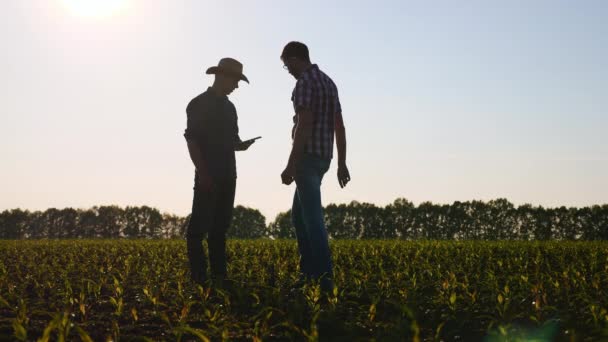 Yapıcı tartışma tarım arazileri ortakları — Stok video