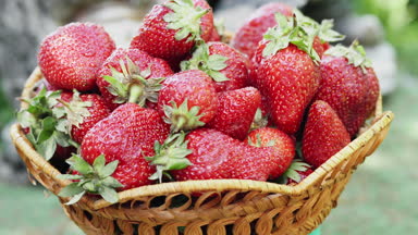 Parlak çilek üzerinde bir güneşli gün açık havada döner
