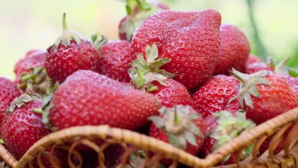 Κόκκινες ζουμερές φράουλες, κλώση — Αρχείο Βίντεο