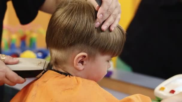 Hairdresser working with small boy in barbershop — Stock Video
