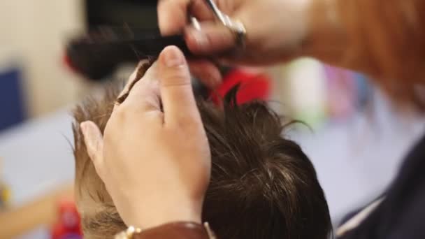 Hairdresser working with small boy in barbershop — Stock Video