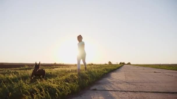 Correr y jugar con perros — Vídeo de stock