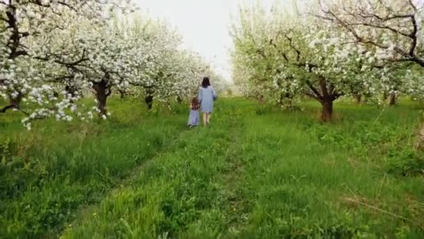 Mamá con hija caminan juntos — Vídeo de stock