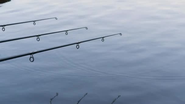 Three professional fishing rod waiting for bites on water river — Stock Video