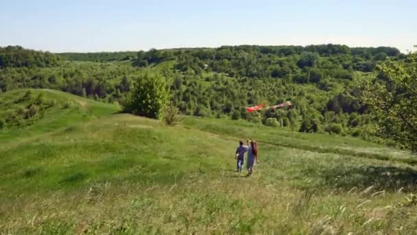 Kinderen met een vlieger lopen naar beneden de heuvel — Stockvideo