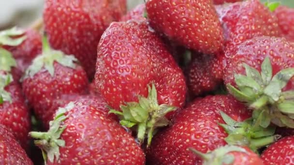 Rote saftige Erdbeeren, drehend — Stockvideo