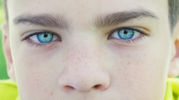 Blue eyes of a boy close-up — Stock Video