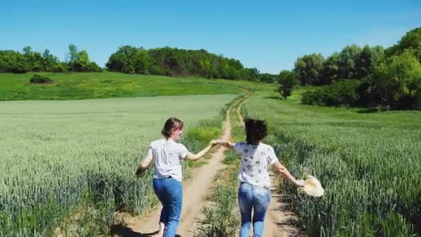 Две девушки держатся за руки, бегая по природе — стоковое видео