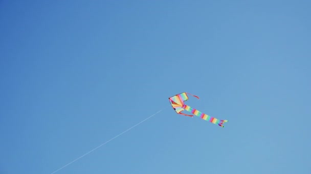 The kite floats high in the clear blue sky — Stock Video