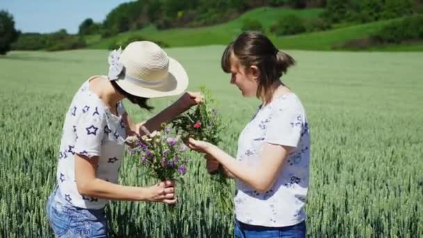 Fetele se uită la un buchet de flori sălbatice pe natură — Videoclip de stoc