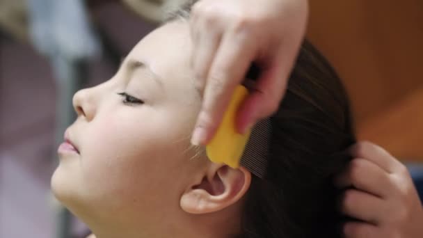 Madre tratando a sus hijas pelo contra piojos — Vídeos de Stock