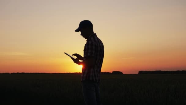 Mužské farmář pracuje v oblasti při západu slunce — Stock video