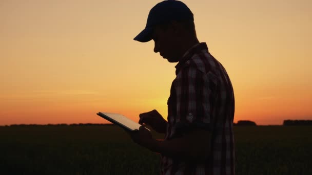 Un agricultor masculino está trabajando en el campo al atardecer — Vídeos de Stock