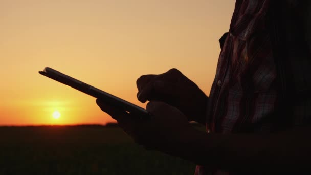 Ein männlicher Bauer arbeitet bei Sonnenuntergang auf dem Feld — Stockvideo