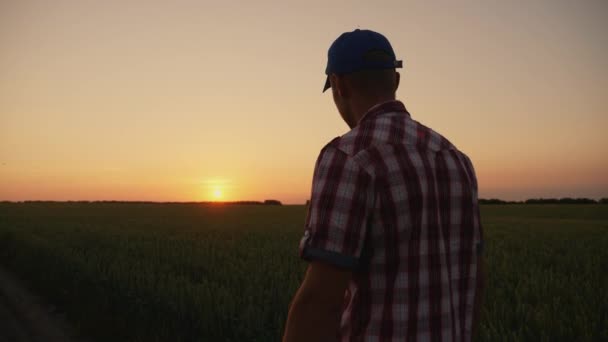 Αγρότης άνθρωπος περπατώντας σε όλο το πεδίο στο ηλιοβασίλεμα — Αρχείο Βίντεο
