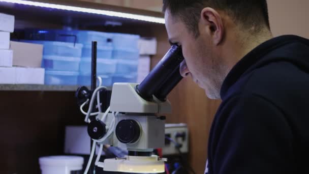Mestre olha através de um microscópio, soldando — Vídeo de Stock