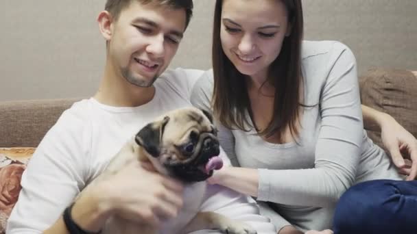 Пара просмотров телепрограммы с собакой — стоковое видео