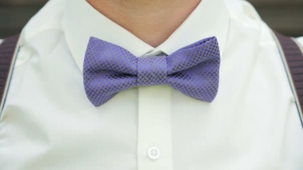 The man straightens his bow tie — Stock Video