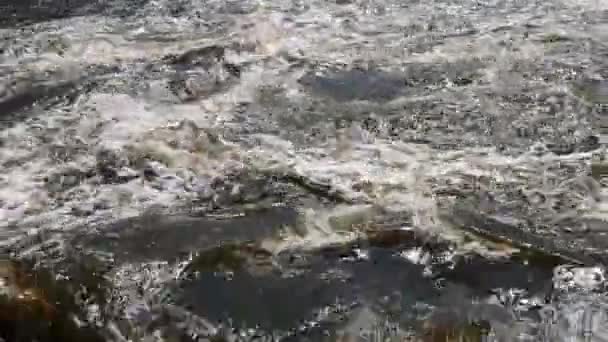 Des ruisseaux d'eau sur le barrage de la rivière éclaboussant de la porte et formant des vagues — Video