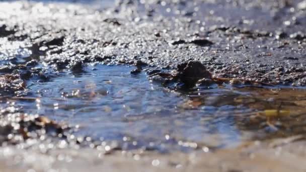 水たまりに滴下水のスローモーション撮影 — ストック動画